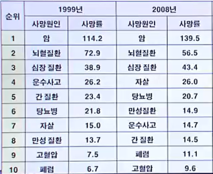  사회학 개론 11-2 자살