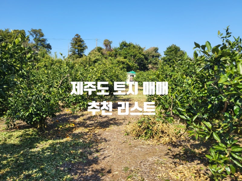 제주도 토지매매_송당리마을 인근 부지조성사업 단독 주택 부지 분양