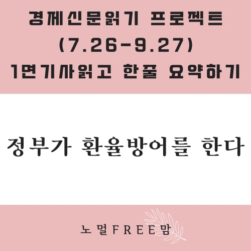 정부도 환율방어를 할 수 있다(9/16 초보의 경제읽기)