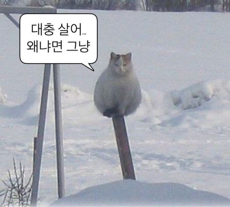  [블챌] 귀찮음은 사람을 여유롭게 만든다
