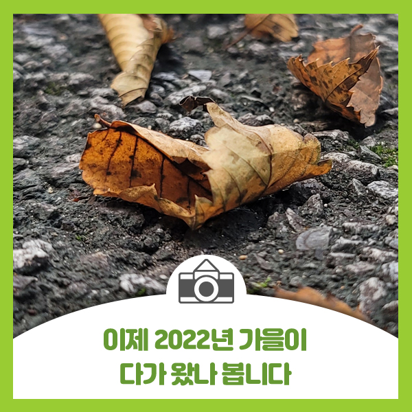 2022년 가을이 다가 왔나 봅니다