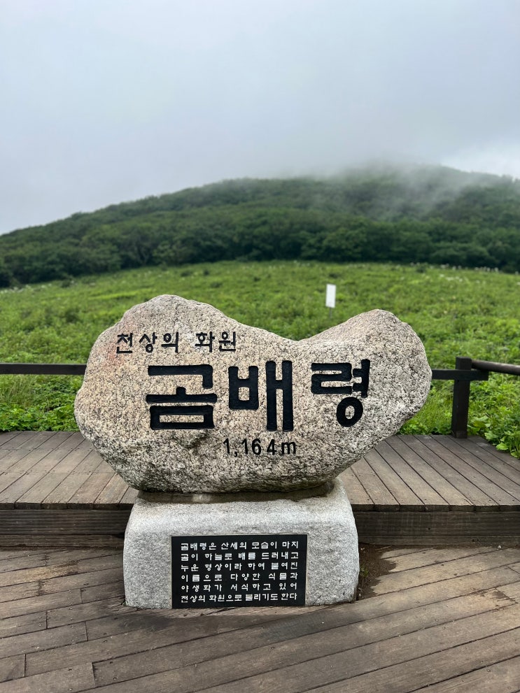  취미로 하는 등산, 천상의 화원 인제 곰배령