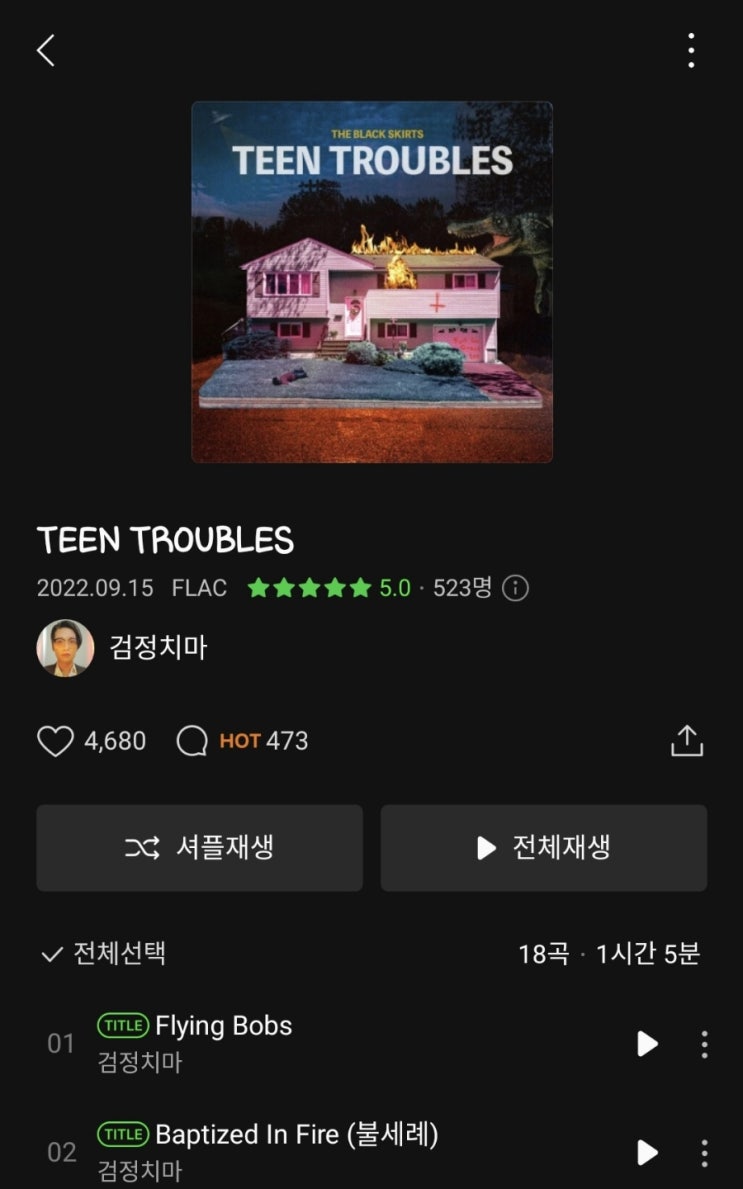  이번주 주간일기 :) 주간 플레이리스트!