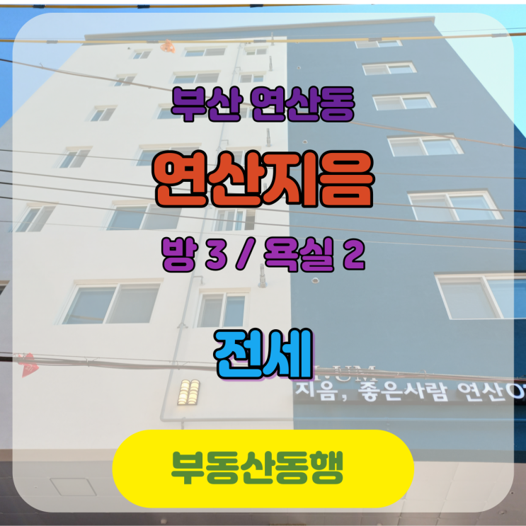  연산동 아파트 & OT 첫 입주 전세매물 연산지음이 있어요~