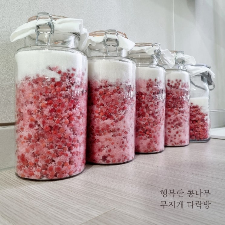  생오미자로 실패없는 오미자청 만들기 feat 알토란