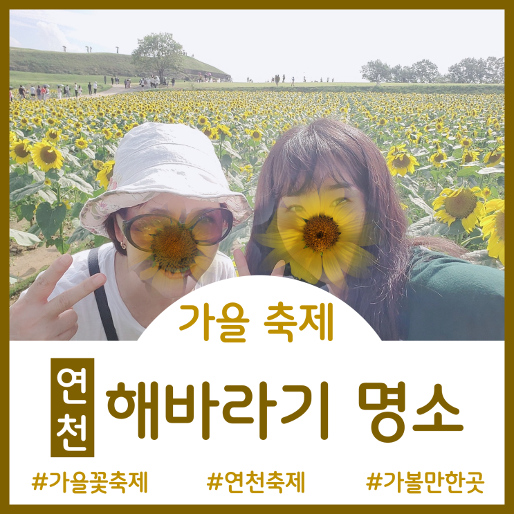  [가을축제]서울근교  가볼만한곳 - 해바라기 만연한 연천 호로고루 통일바라기 축제