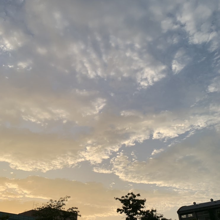  [일기]2022.09.17 토요일