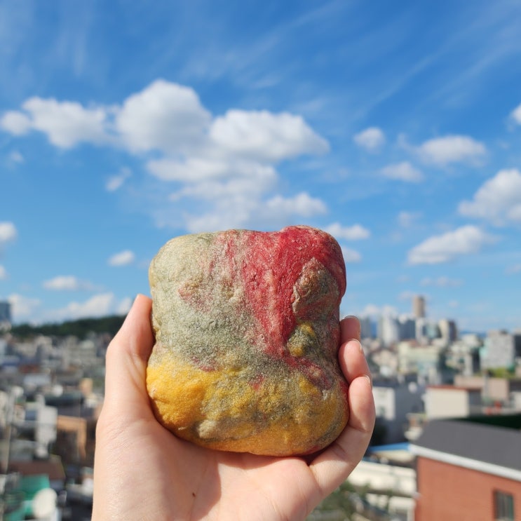  쉬운 무반죽 치아바타 삼색치아바타 베이킹