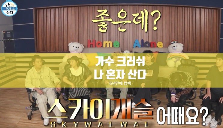 여자친구 <b>레드벨벳 조이</b> 나이... 스카이개슬 자동차 <b>나혼산</b> 인스타