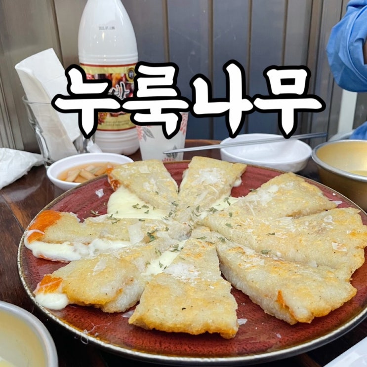  종로구)안국 막걸리 맛집 누룩나무 비오는 날 전집 가볼만한 곳!