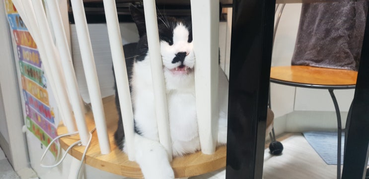  열매달 두번째 블챌