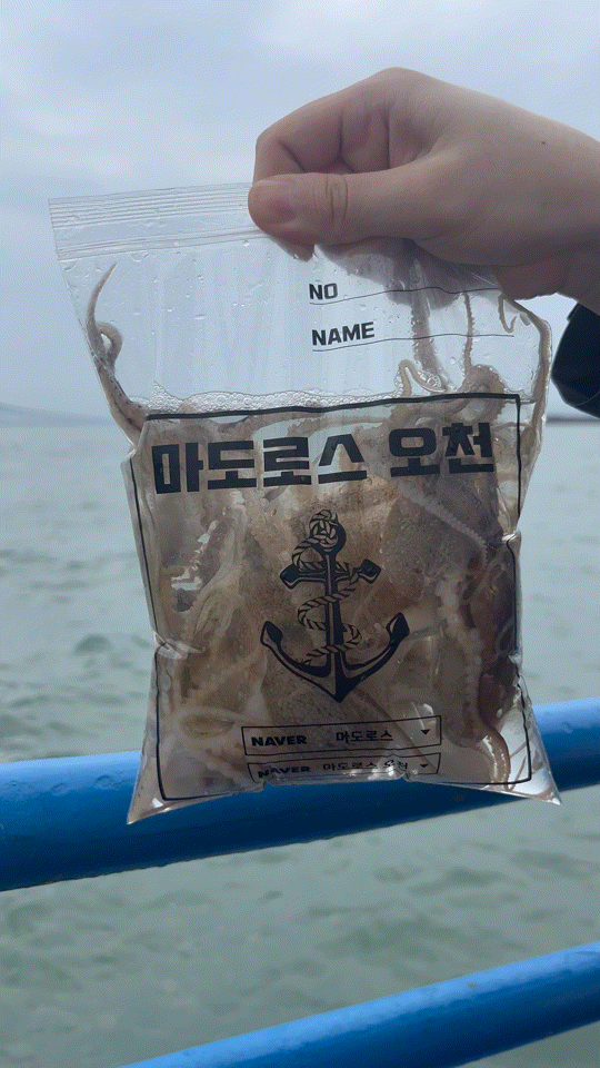  [인천/체험] 연안부두 배낚시, 쭈꾸미 싹쓸하자! 인천제일바다낚시