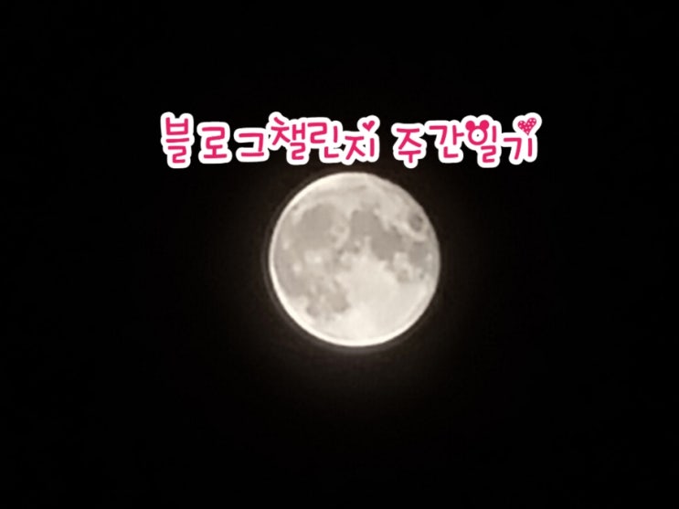  [블챌] 블로그챌린지 주간일기 9/8~9/15