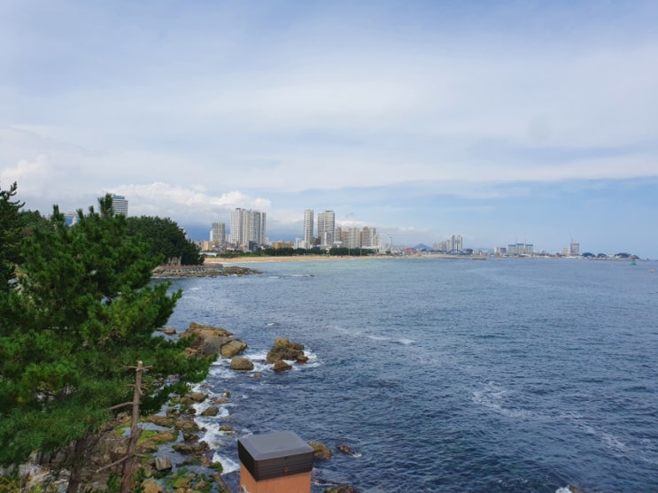  [바다향기로]속초해변의 끝, 다른 시각에서 해변 바라보기