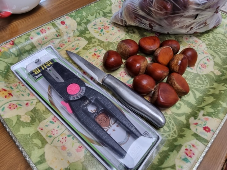  알밤까기 도구 밤가위, 칼 성능 비교하기. 승자는?