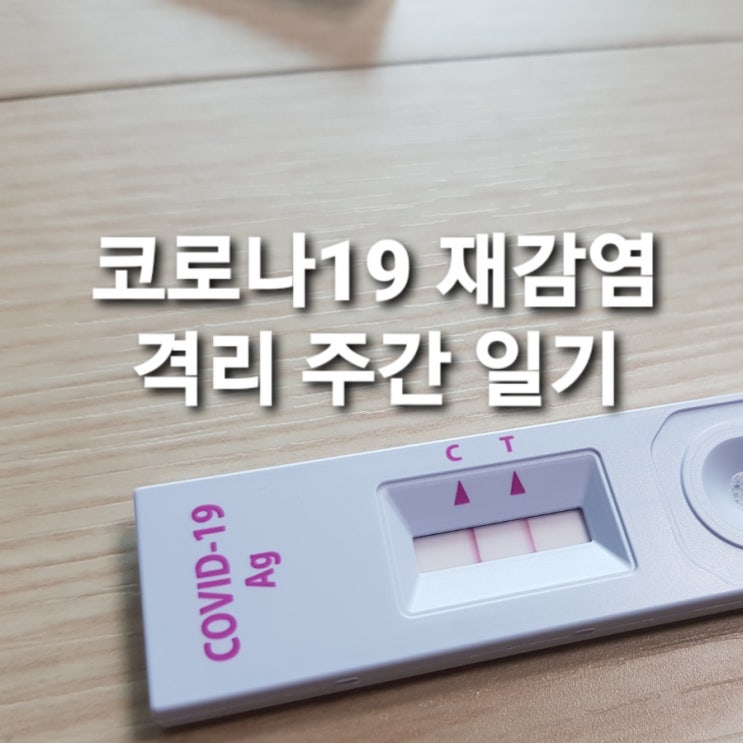 [블챌] 코로나19 재감염으로 두 번째 격리였던 주간 일기