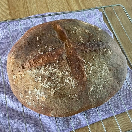  통밀가루로 깜빠뉴 만들기 도전! 장발장이 훔친빵 (풀리쉬 사용)
