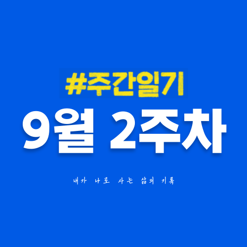  9월 2주차 | 유튜브 1,000명 수익 달성이 머지않았을까?