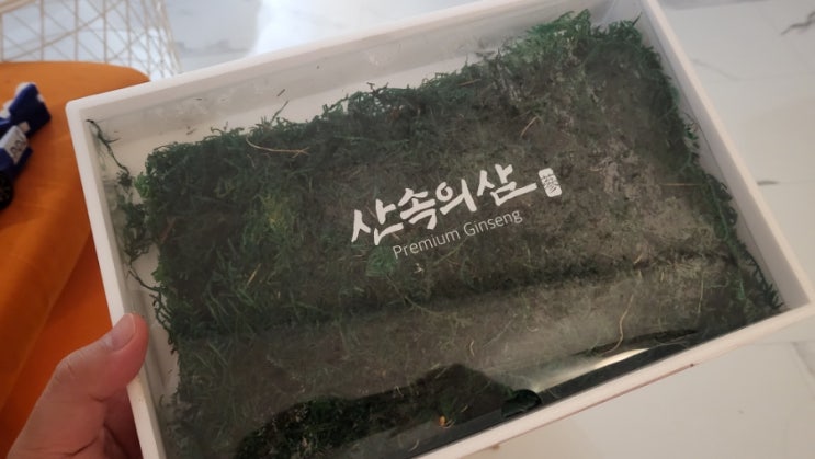  추석선물로 산삼을 보내주신 사연