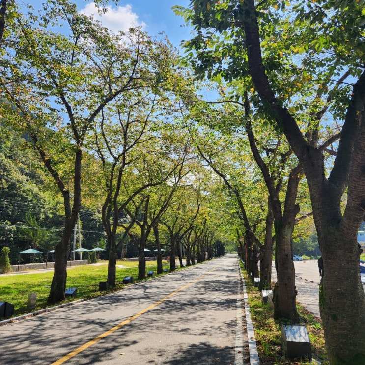  전북진안 여행지 추천 마이산 탑사, 은수사