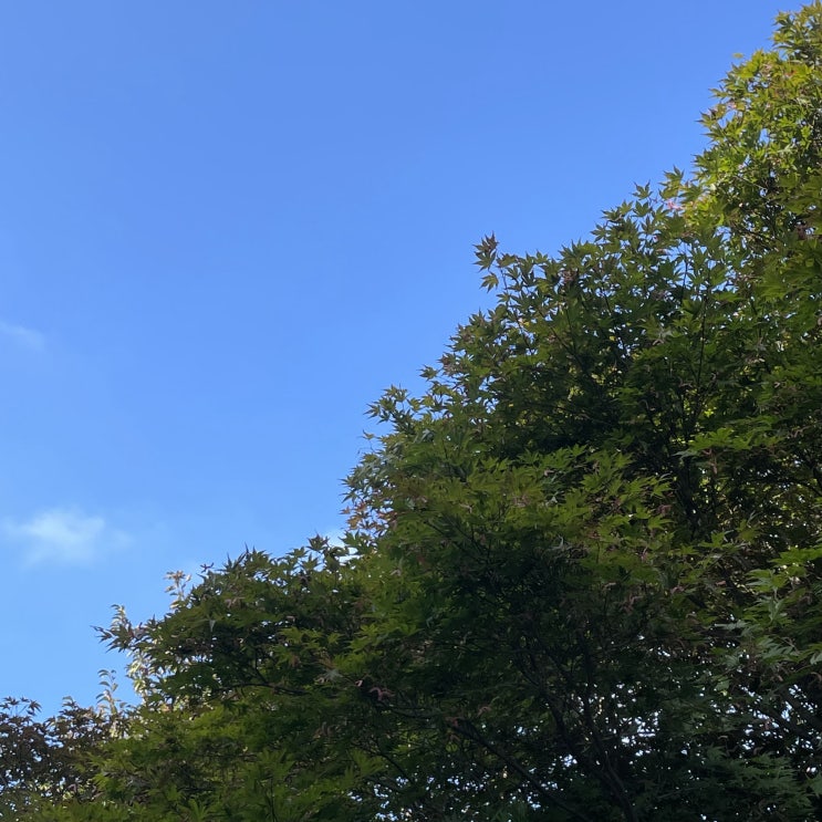  [블챌] 주간일기 챌린지 | 22.09_2w