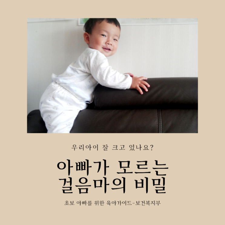  육아가이드/아빠가 모르는 걸음마의 비밀걸음마 훈련법