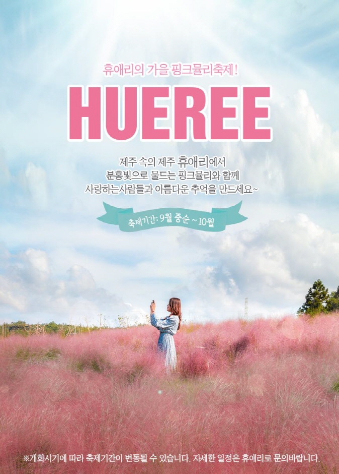  2022년 9월 제주 지역 가볼만한곳 아이와함께 정보 레저힐링 해비치아트페스티벌 휴애리 핑크뮬리 마노르블랑 반려동물 여행 총정리