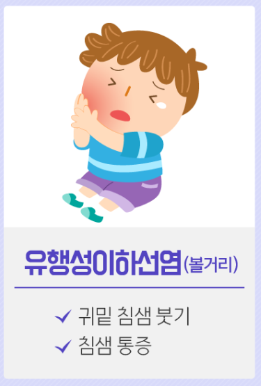  타액선(침샘, salivary gland) 질환 (2) : 바이러스 감염(viral infection) - 유행성 이하선염(볼거리, mumps)