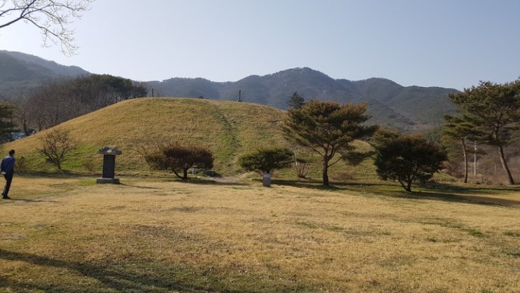 천하명당이라는 예산 덕산 남연군 묘자리... 천하명당이라는 예산 덕산 남연군 묘자리...