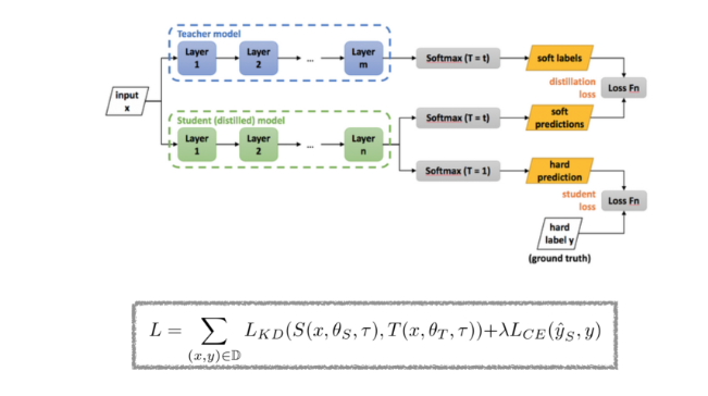  Knowledge Distillation