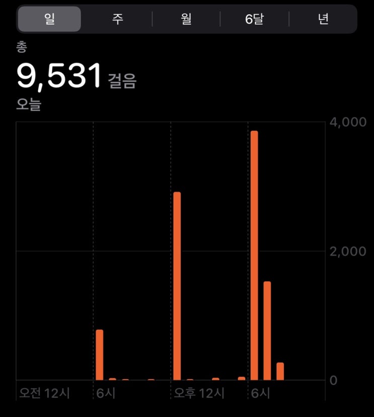 [백일챌린지] 만보 걷기 3일차