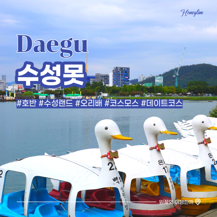  대구 수성못 놀거리 : 호반, 수성랜드, 오리배, 코스모스 산책로