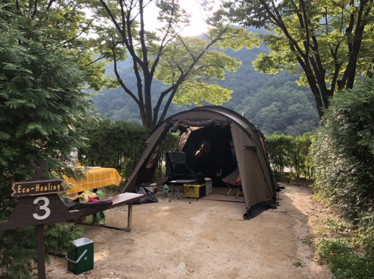  치악산 금대야영장 금대에코힐링캠핑장 가을캠핑