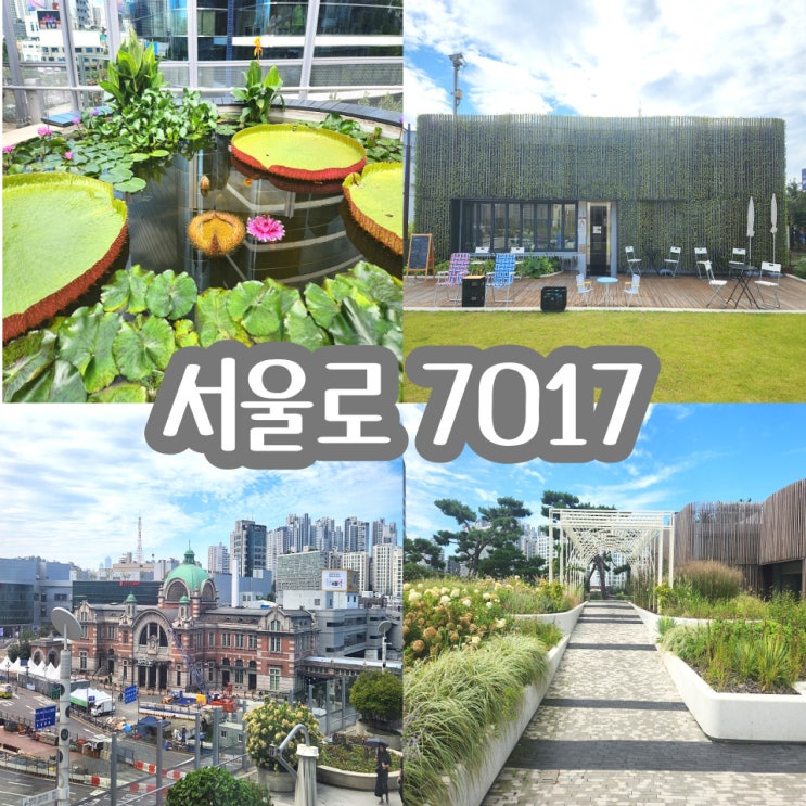  서울역놀거리 서울로 7017 도심 속의 진정한 힐링