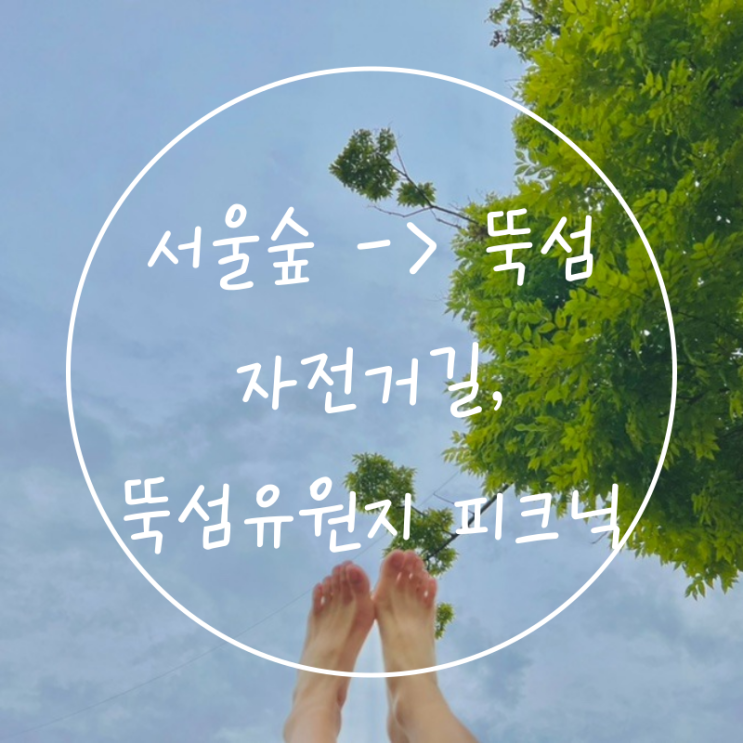 서울숲 뚝섬유원지 자전거길, 한강공원 텐트자리 피크닉