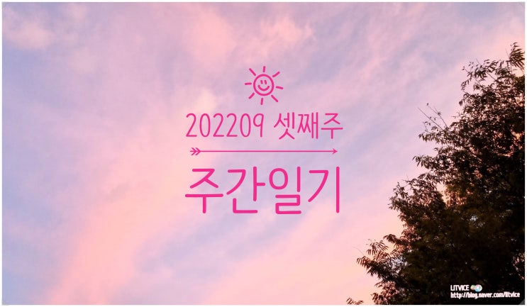  202209 셋째주 주간일기