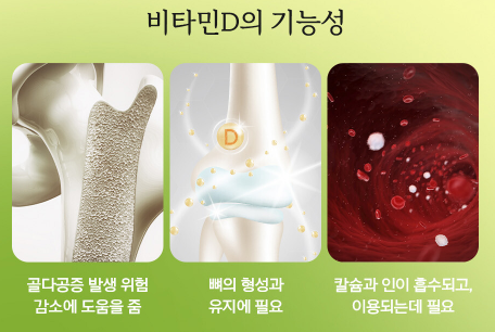  비타민 D 기능과 효과