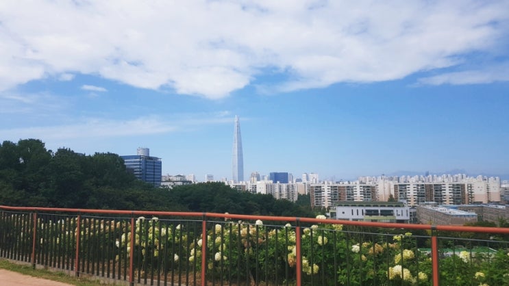  [블챌] 주간일기챌린지: 9월인데 너무 덥네