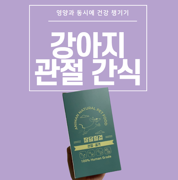  강아지 관절 간식 영양제처럼 줄 수 있는 애니먼 잘달릴걸