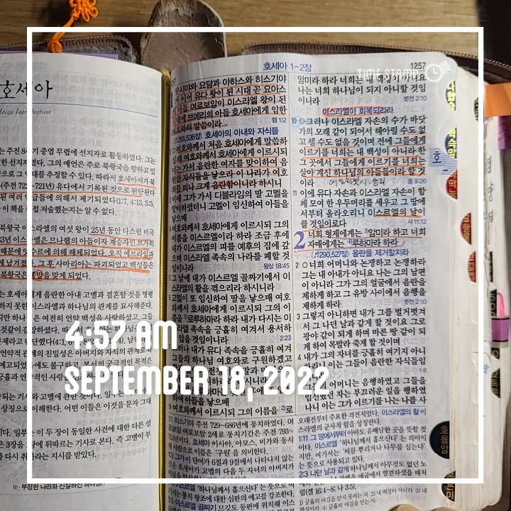  9월 비상식적 성공 법칙-261