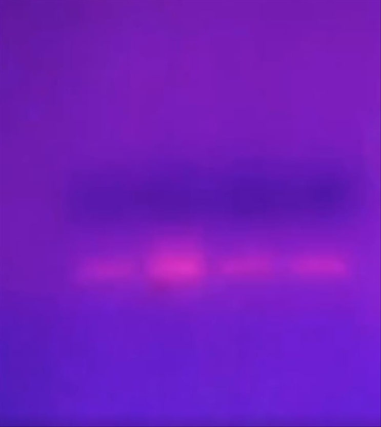  mRNA 백신안에는 mRNA가 존재하지 않았다 (2부)
