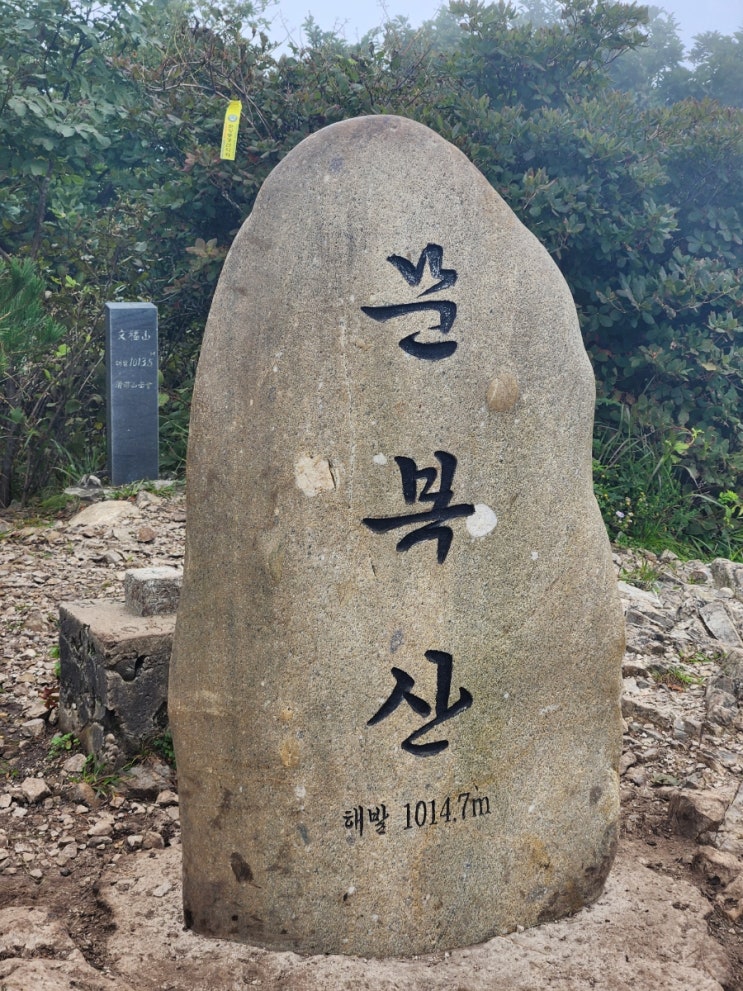  영남알프스 다음매일 문복산 영알9봉인증