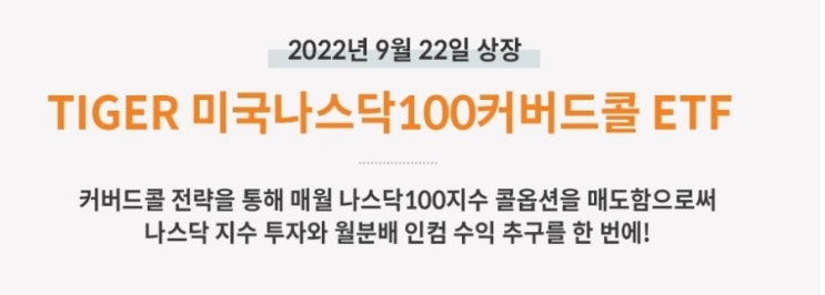  국내 월배당 TIGER 미국 나스닥 100 커버드콜 상장 예정