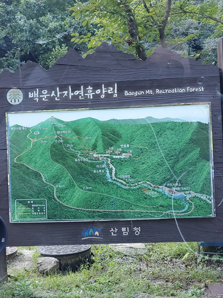  백운산자연휴양림, 원주, 숲속수련장, 꽃마리