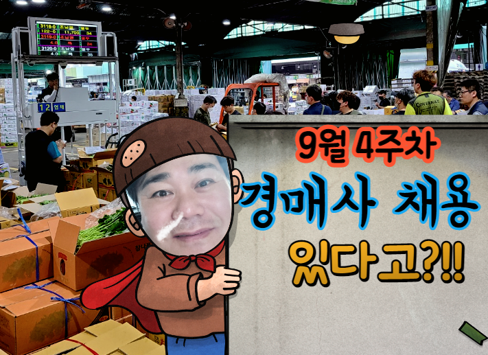  [경매사 채용안내] 9월 4주차에 진행되는 경매사 구직정보를 살펴보겠습니다!