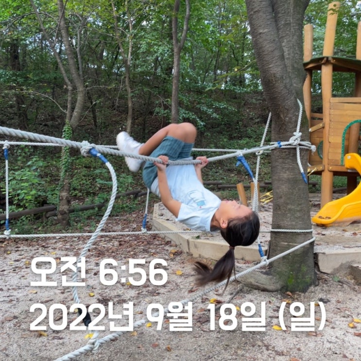  오랫만 산책