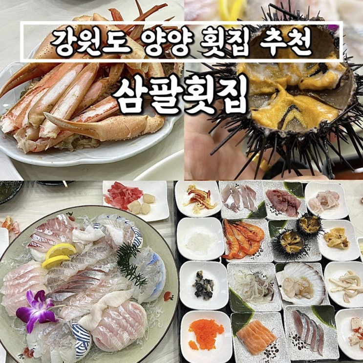  강원도 양양맛집 "삼팔횟집" 밑반찬 스끼다시 잘나오는 현지인추천 횟집! 모듬회(중) 먹은 후기
