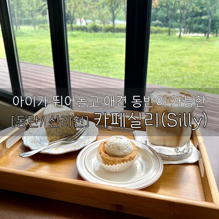  [동탄/신리천] 카페실리(Silly), 아이가 뛰어놀 수 있고 애견동반이 가능한 신리천 신상 동탄 찐디저트맛집 뷰맛집카페