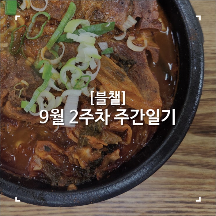 [블챌]맛집탐방하다 지나간 9월 2주차 주간일기