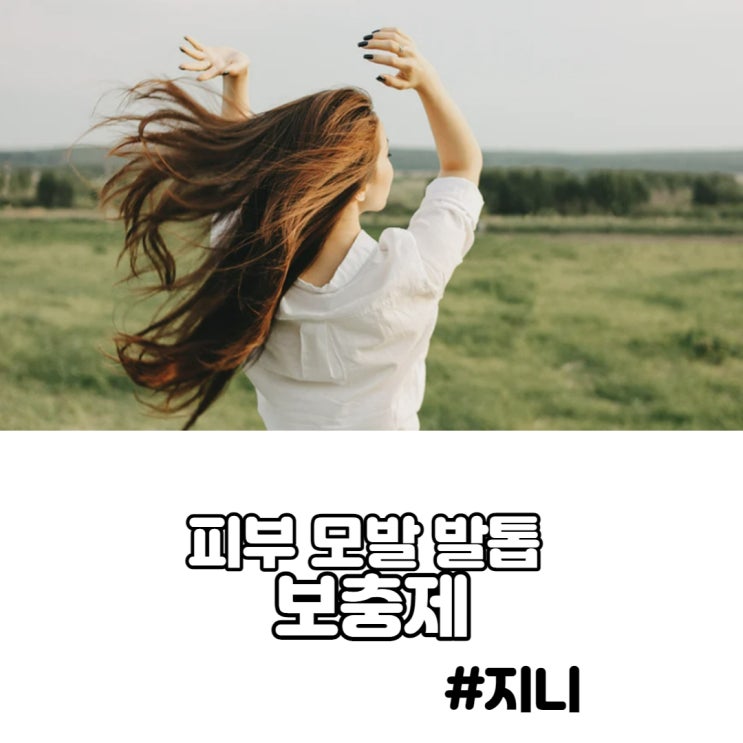 피부 모발 손발톱 건강 보충제 정리 피부 모발 손발톱 건강 보충제 정리